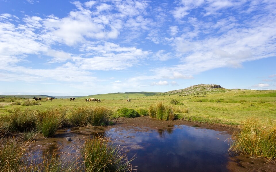 Bodmin Moor, UK