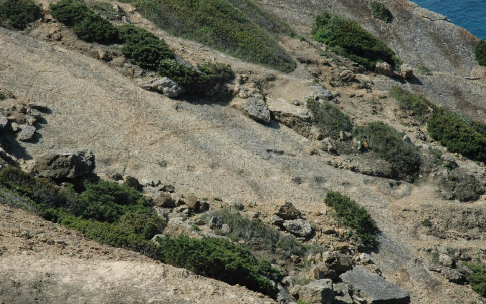 Cabo-Espichel-Dinosaur-Tracks