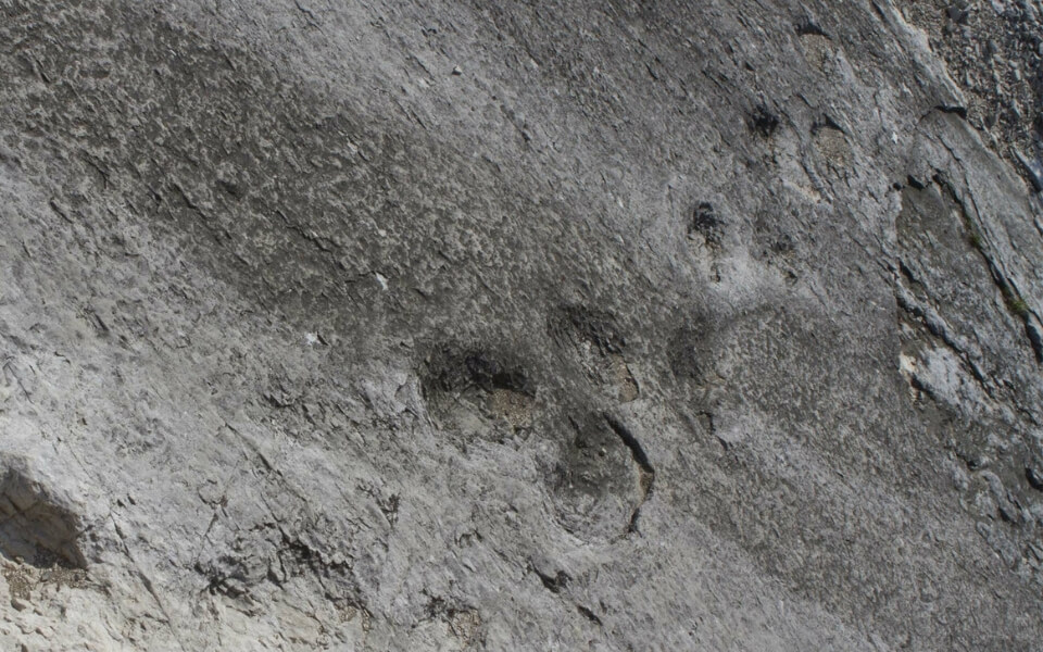 Dolomites-Fossil-Trails
