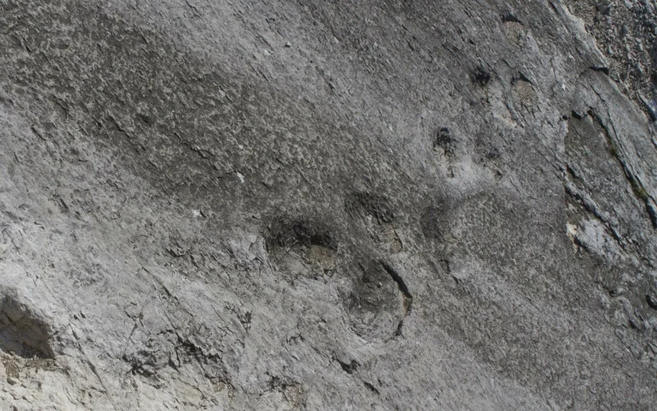 Dolomites-Fossil-Trails