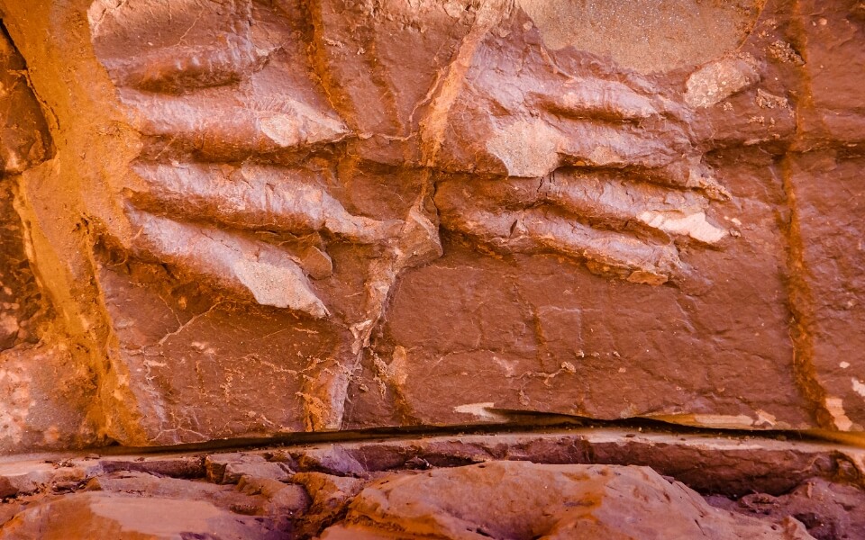 La-Rioja-Paleontological-Centre