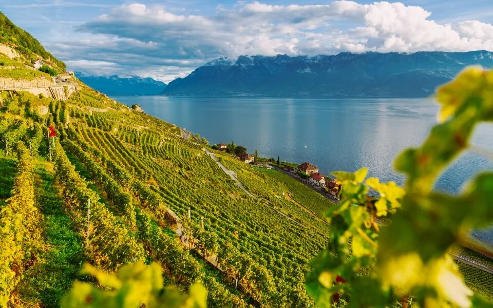 Lavaux Weinbergterrassen, Schweiz