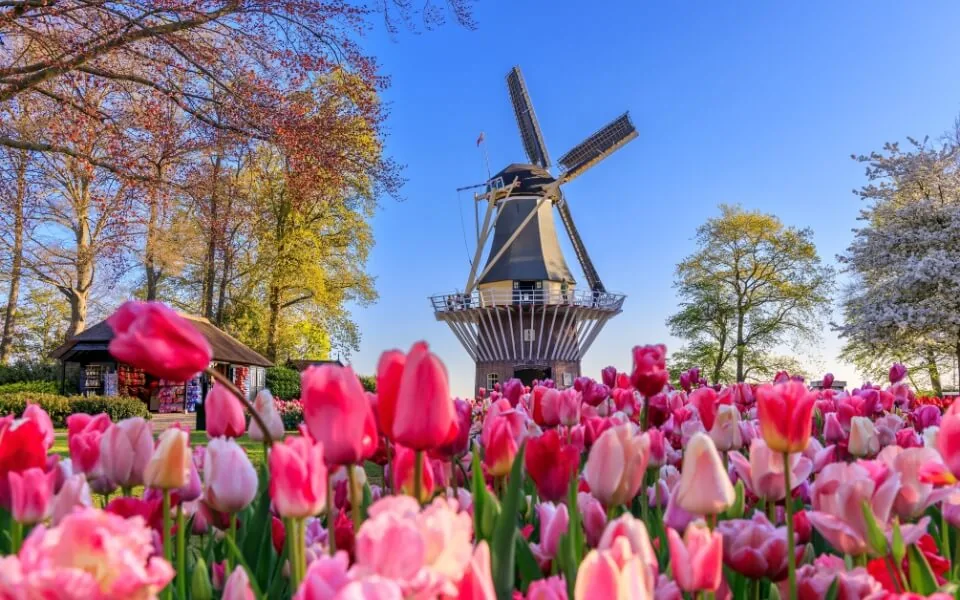 Lisse, Netherlands
