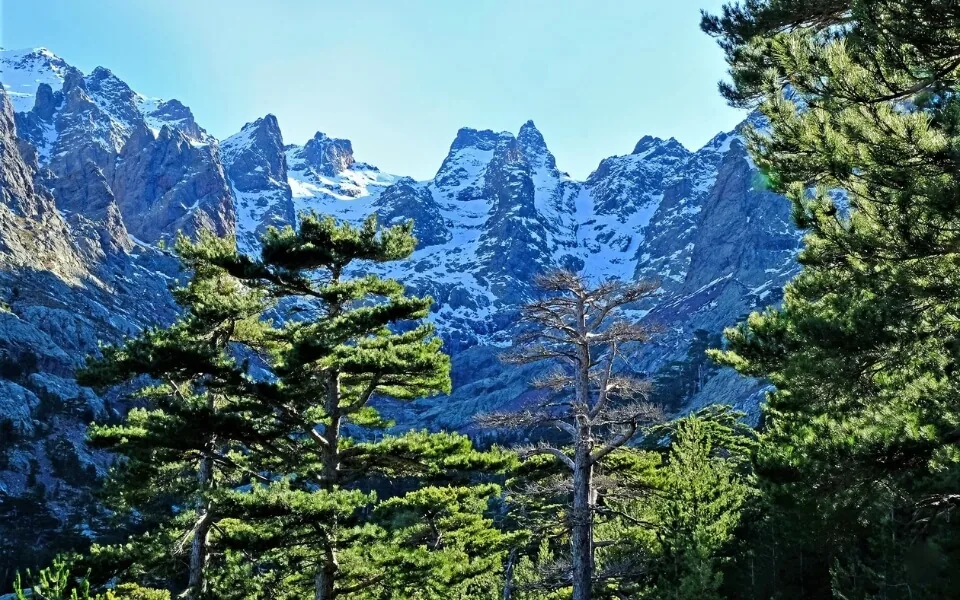 Monte Cinto, Córcega