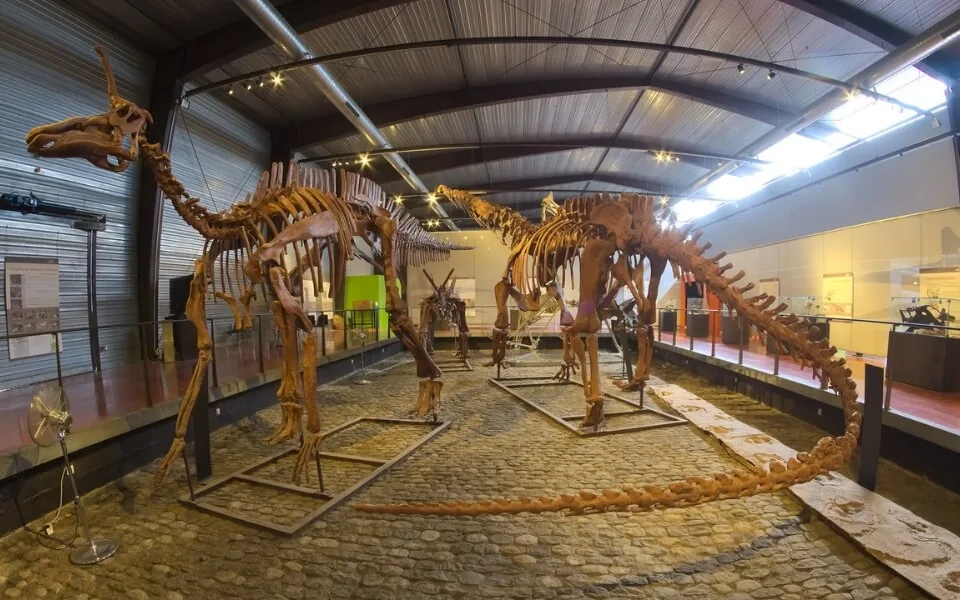 Musee-des-Dinosaures-Esperaza