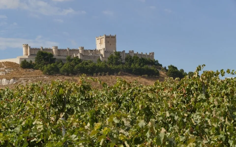 Ribera del Duero