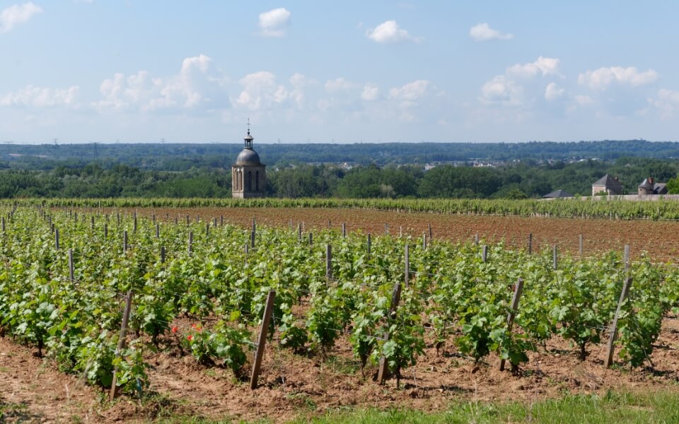 Vouvray