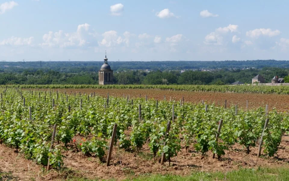 Vouvray