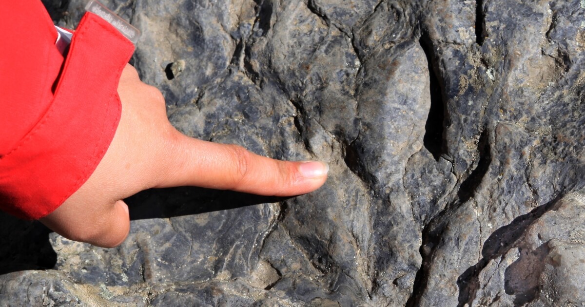 Dinosaurier-Entdeckungspfad - Europas Fossilienreich mit dem Elektroauto erkunden